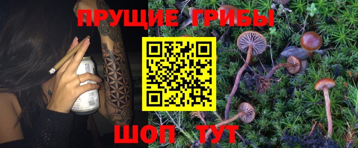 Псилоцибиновые грибы MAGIC MUSHROOMS Дубна